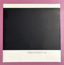 Load image into Gallery viewer, Julie Budd Signed Autographed Type-1 Polaroid Photo
