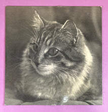 Load image into Gallery viewer, Patty Hanley - Cat At The Console Vinyl LP Album International Records LP5041
