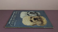 Load image into Gallery viewer, Vintage Country Life Magazine February 13 1964 Cruft's Show Report
