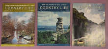 Load image into Gallery viewer, Lot of 3 Vintage Country Life Magazines March, June, July 1975
