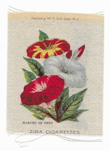 Load image into Gallery viewer, Vintage Cigarette / Tobacco Silk - Zira Cigarettes - Marvel of Peru - Flowers
