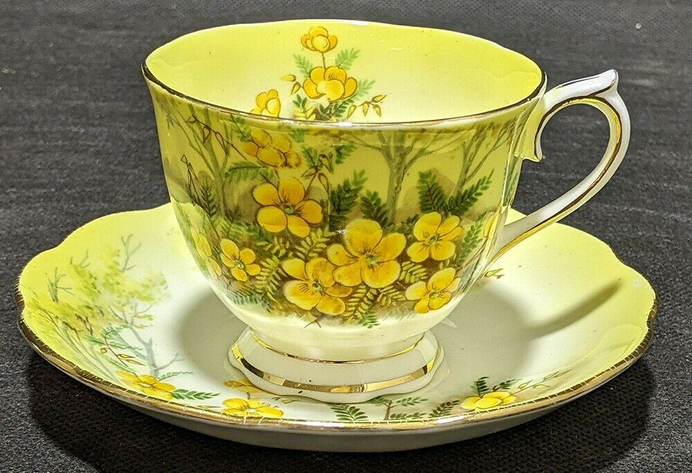ROYAL ALBERT Fine Bone China Cup & Saucer - Partridge Pea - Yellow & Gold