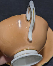 Load image into Gallery viewer, PARAGON, Double Warrant Fine Bone China Teacup &amp; Saucer - Peach &amp; Cabbage Rose
