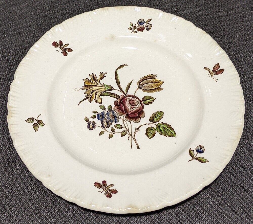 Wedgwood Bone China Bread & Butter Plate -- Robert Sprays