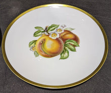 Load image into Gallery viewer, 4 Ceramic Salad Plates - Fruit Detail  by Hutschenreuther - Germany - 8&quot;
