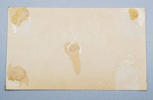 Load image into Gallery viewer, Autograph Secretary of Agriculture Clinton P. Anderson Signed
