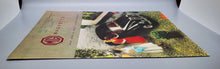 Load image into Gallery viewer, 1958 MG Morris Magnette Brochure
