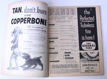 Load image into Gallery viewer, Panic (1958 Panic Pub.) #3
