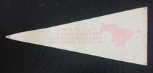 Load image into Gallery viewer, Calgary Stampeders - CFL Canadian Football League 30&quot; Pennant
