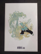 Load image into Gallery viewer, 2007 Usagi Yojimbo #107 Dark Horse Comics VF- 7.5
