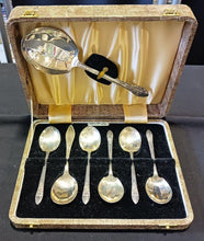Load image into Gallery viewer, Bedford Plate Silver Plate Spoon Set In Fitted Canteen
