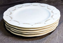 Load image into Gallery viewer, Rosenthal - Classic Rose Pattern Dinner Plate - 10 3/8&quot; - Germany
