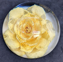 Load image into Gallery viewer, 4 Assorted Floral / Insect Paperweights Red, Yellow &amp; Peach Roses
