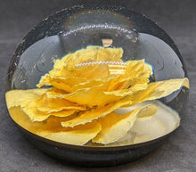 Load image into Gallery viewer, 4 Assorted Floral / Insect Paperweights Red, Yellow &amp; Peach Roses
