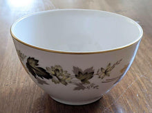 Load image into Gallery viewer, Royal Doulton Translucent China - Larchmont Pattern - Open Sugar Bowl
