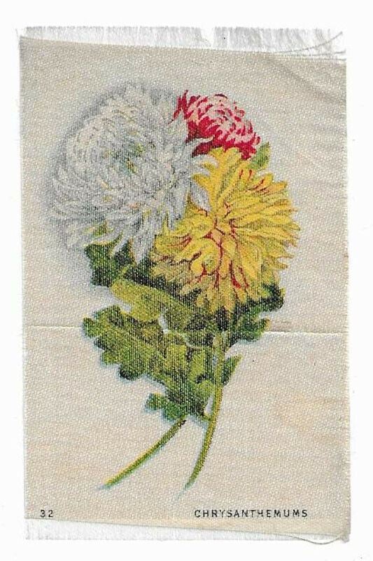 Vintage Cigarette / Tobacco Silk - #32 - Chrysanthemums - Flower Varieties