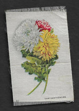 Load image into Gallery viewer, Vintage Cigarette / Tobacco Silk - #32 - Chrysanthemums - Flower Varieties
