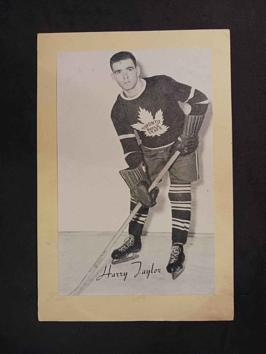Harry Taylor Group II Beehive Photo Toronto Maple Leafs