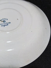 Load image into Gallery viewer, Vintage Johnson Bros Pareek Yellow &amp; Green Cream Soup Bowl &amp; Saucer Set
