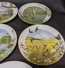 Load image into Gallery viewer, 8 of 12 Royal Worcester Porcelain Plates - Made in England - 1979
