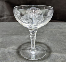 Load image into Gallery viewer, Stuart Crystal Eden Pattern Set of (8) Champagne / Tall Sherbert Glasses 4 1/2&quot;
